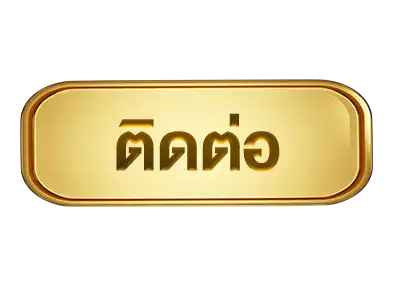 แบนเนอร์ 10