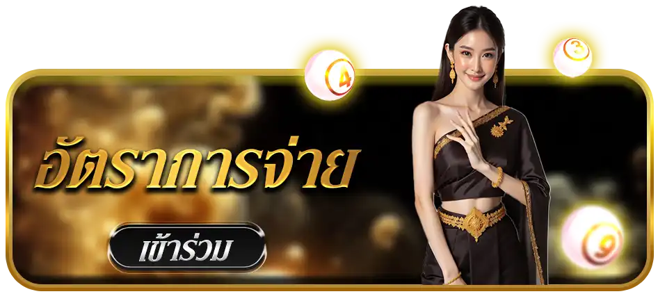 แบนเนอร์ 17