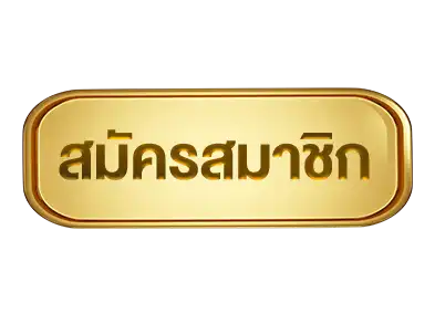 แบนเนอร์ 2